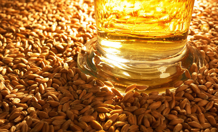 Boortmalt стал крупнейшим в мире производителем солода