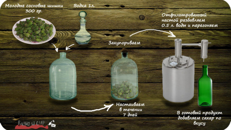 Сосновая водка на шишках: полезные свойства, приготовление, состав, рецепт