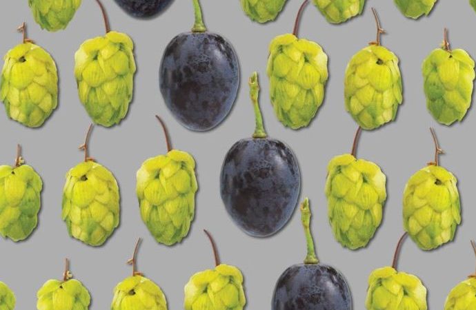 Как выбрать пиво, похожее на ваше любимое вино