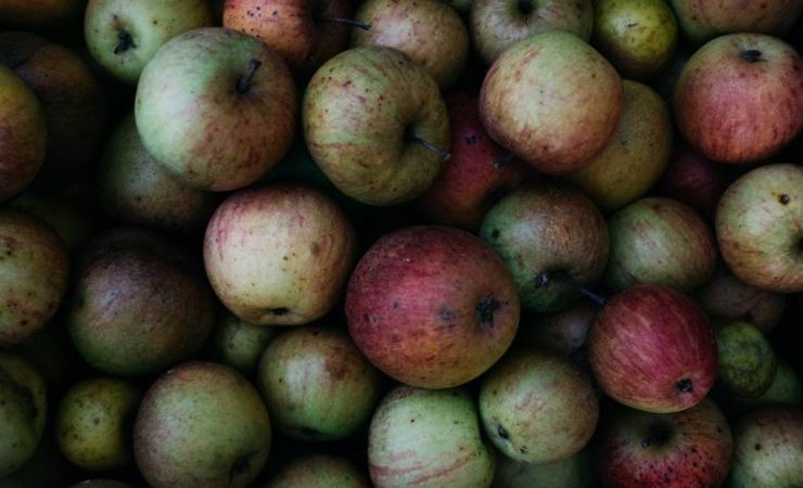 Копчение, охмеление, выдержка: как разнообразить сидры