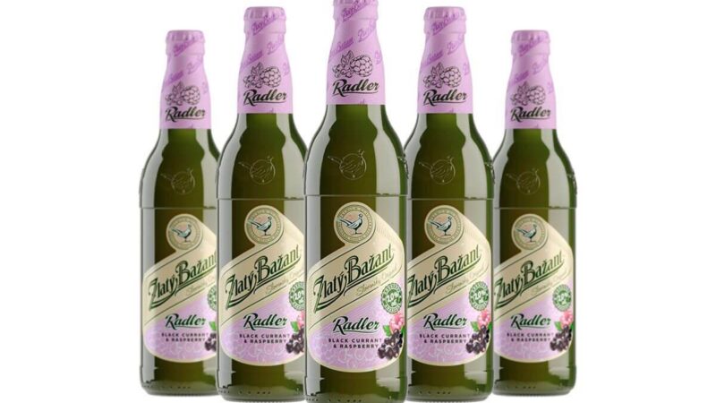 Вышел Zlatý Bažant Radler со вкусом чёрной смородины и малины