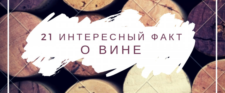 21 интересный факт о вине