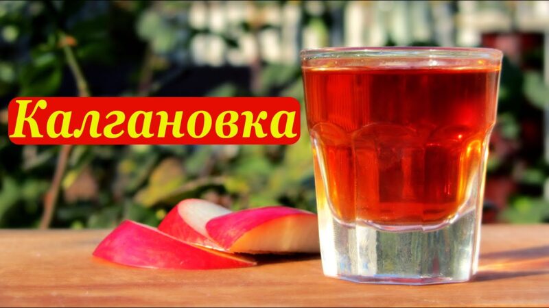 Готовим калгановку – настойку корня калгана на водке