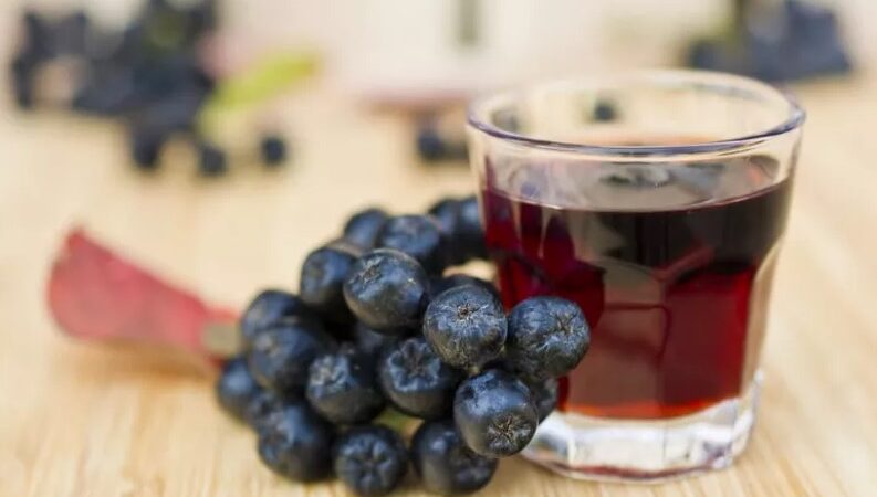 Наливка из черноплодной рябины: подборка вкуснейших рецептов