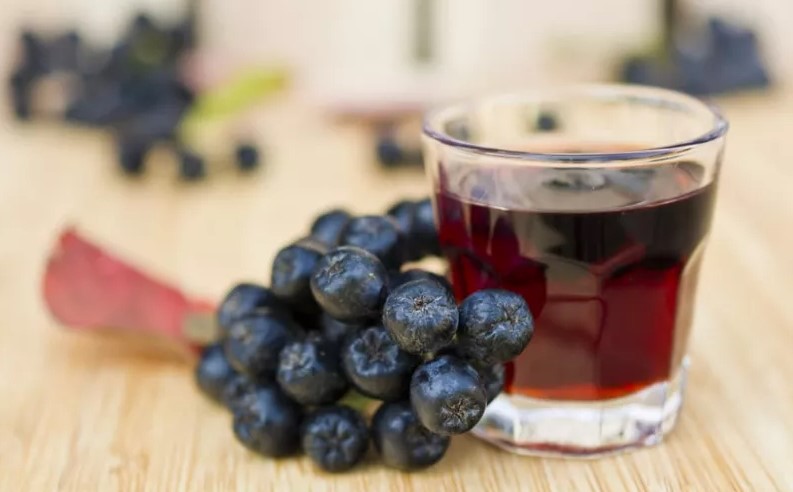 Наливка из черноплодной рябины: подборка вкуснейших рецептов